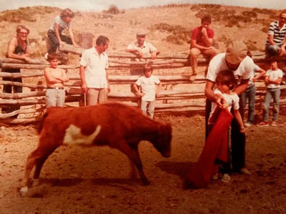 Human, People, Vertebrate, Mammal, Bovine, Rural area, Temple, Livestock, Terrestrial animal, Soil, 