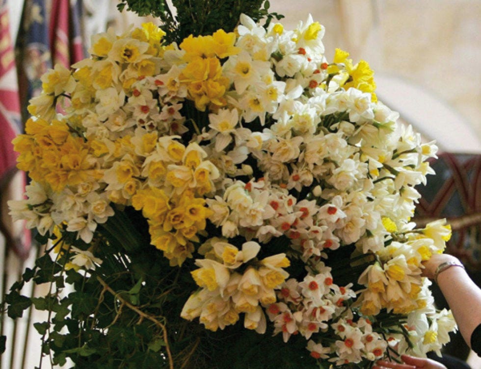Petal, Yellow, Flower, Floristry, Botany, Flowering plant, Spring, Floral design, Flower Arranging, Shrub, 