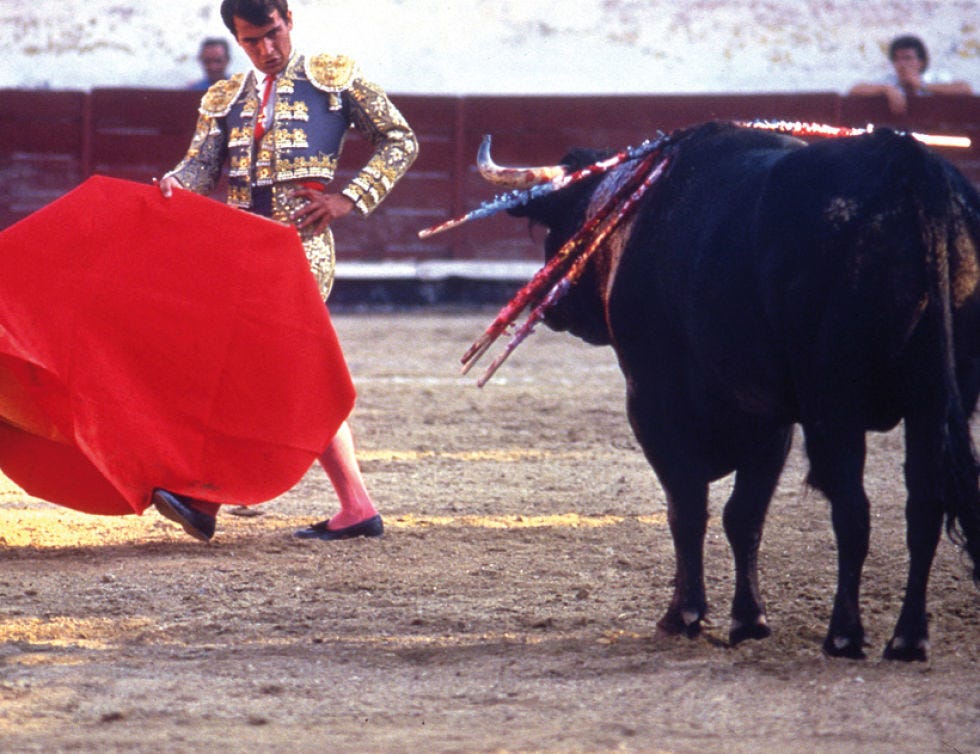 Matador, Bull, Bullring, Entertainment, Bovine, Bullfighting, Animal sports, Tradition, Interaction, Working animal, 