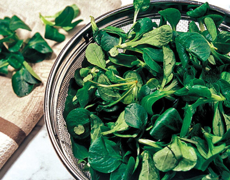 Leaf, Leaf vegetable, Ingredient, Herb, Produce, Vegetable, Vegetarian food, 