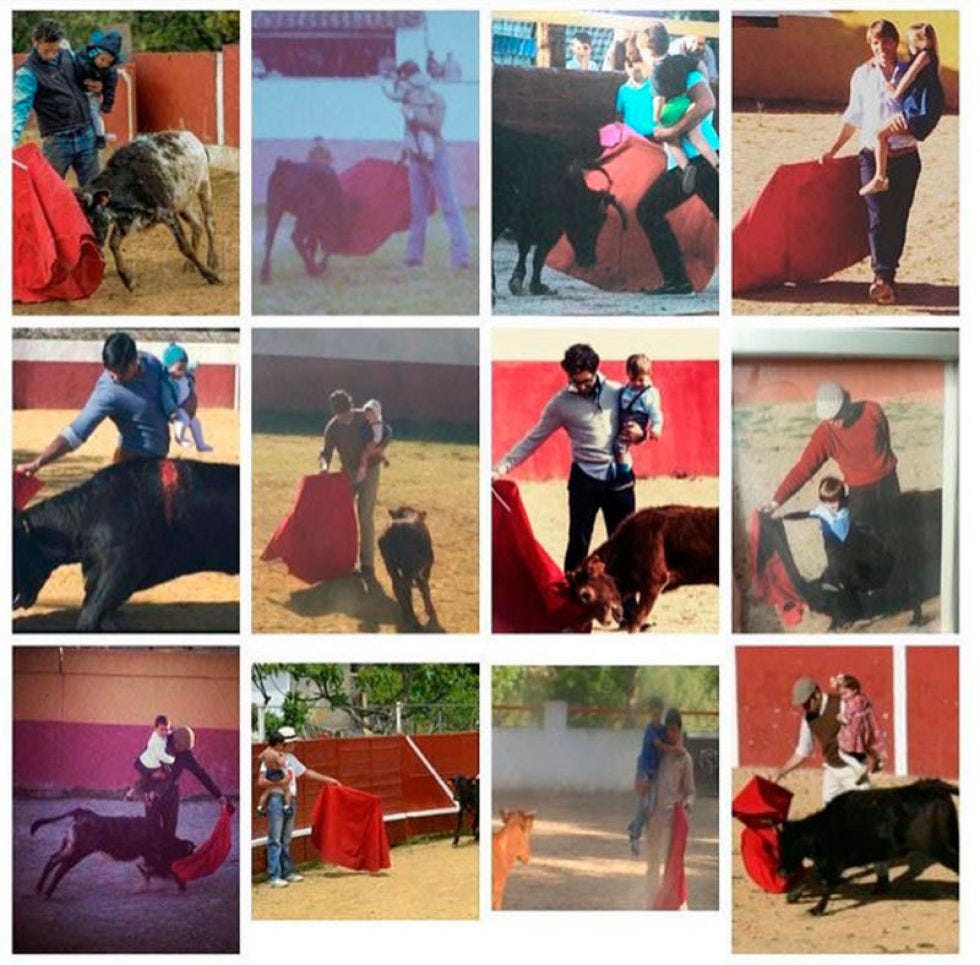 Human, Arm, Organism, Adaptation, Interaction, Collage, Stock photography, Working animal, 