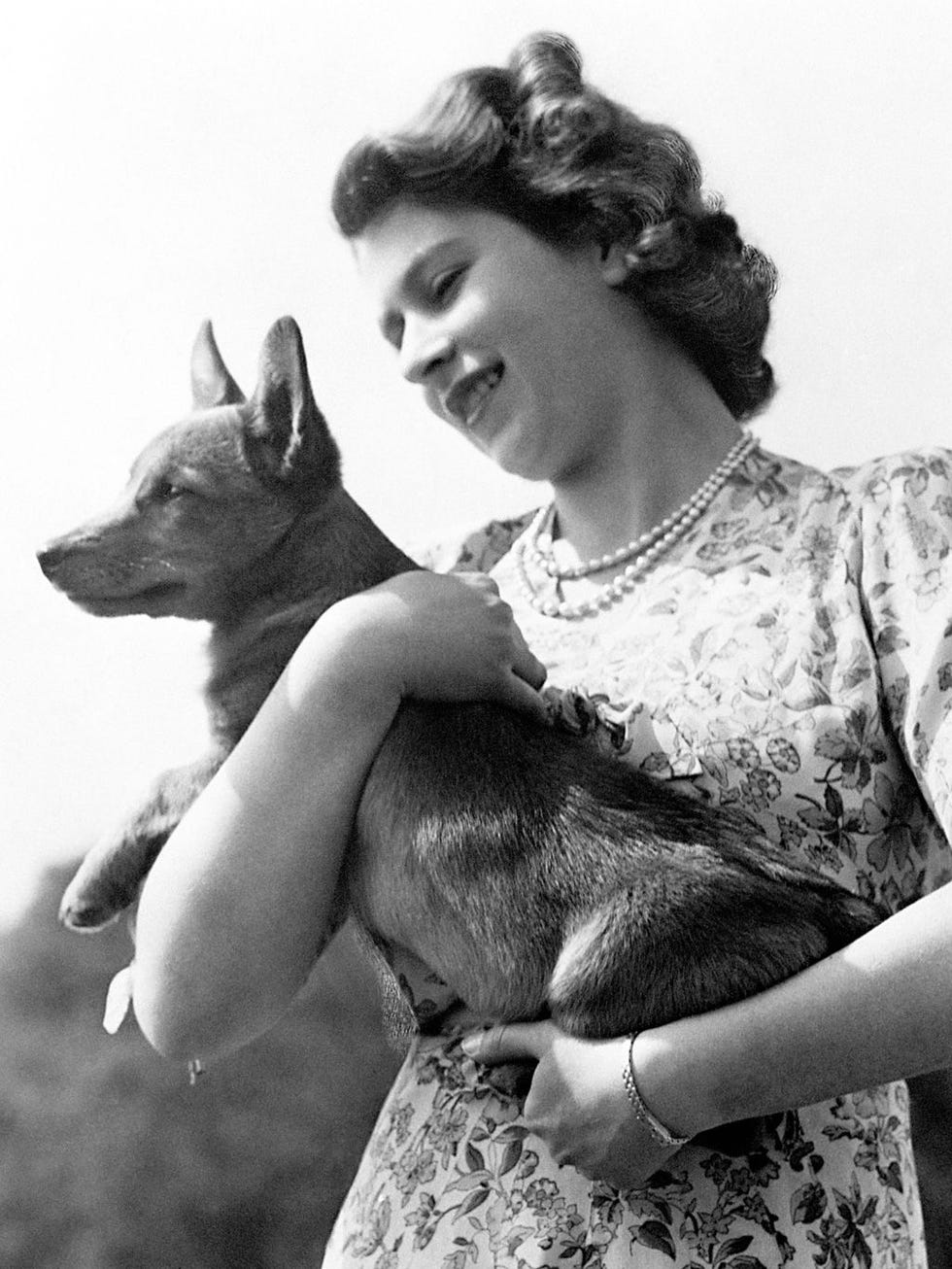 Human, Dog breed, Dog, Carnivore, Jewellery, Snout, Vintage clothing, Canidae, Monochrome, Companion dog, 