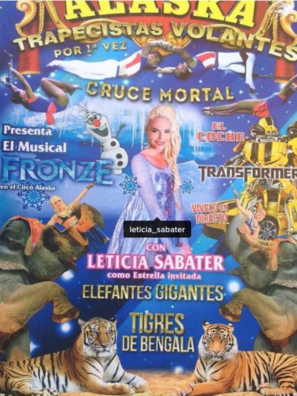 Organism, Vertebrate, Carnivore, Felidae, Big cats, Terrestrial animal, Bengal tiger, Adaptation, Publication, Whiskers, 