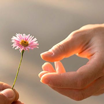 Finger, Green, Petal, Flower, Thumb, Nail, Botany, Logo, Colorfulness, Flowering plant, 