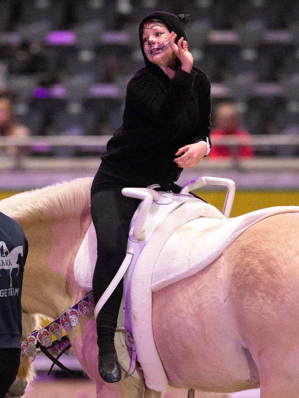 Shoe, Horse, Animal sports, Halter, Purple, Horse tack, Equestrian sport, Horse supplies, Saddle, Rein, 