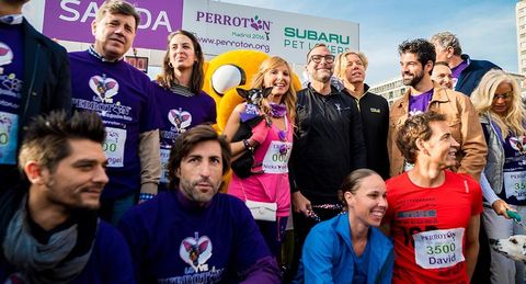 Los Rostros Mas Conocidos Protagonizan La Carrera Solidaria Mas Animal