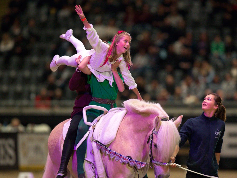 Pink, Purple, Horse, Magenta, Working animal, Horse tack, Public event, Equestrian vaulting, Rein, Animal sports, 