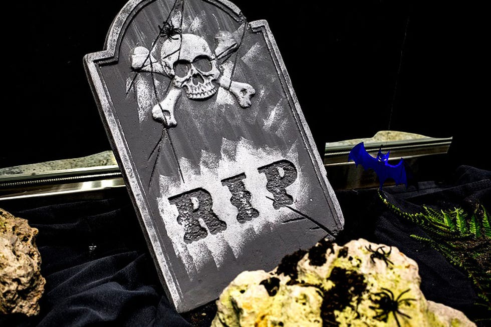 Still life photography, Skull, Symbol, 
