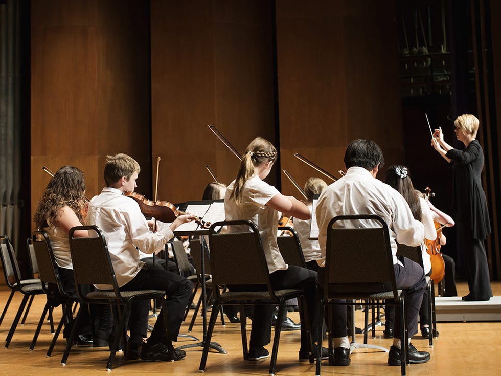 Violin family, Bowed string instrument, Musical instrument, Musician, Orchestra, Violinist, Musical ensemble, Musical instrument accessory, Music, Event, 