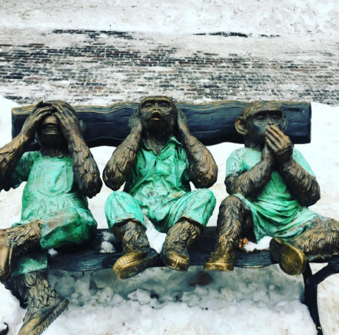 Snow, Primate, Environmental art, 