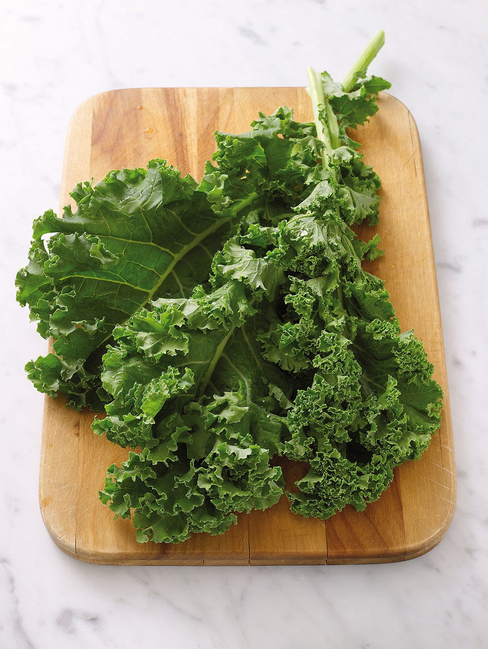 kale super alimento col rizada