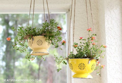 Flowerpot, Yellow, Flower, Interior design, Interior design, Twig, Vase, Light fixture, Houseplant, Flower Arranging, 
