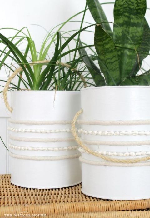 Flowerpot, Plant stem, Herb, Vase, Houseplant, 