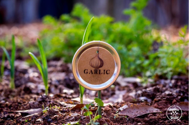 <p>Si eres de las que te gusta plantar, tendrás una bonita y original forma de marcar tus plantas. Además de añadir un toque decorativo a tu jardín o terraza, estas etiquetas DIY son perfectas para hacer seguimientos de tus hierbas en flor.</p><p>Mira el paso a paso en <a href="http://theprudentgarden.com/mason-jar-lid-plant-label/" target="_blank">The Prudent Garden</a>.</p>