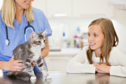cuidados mascotas en casa