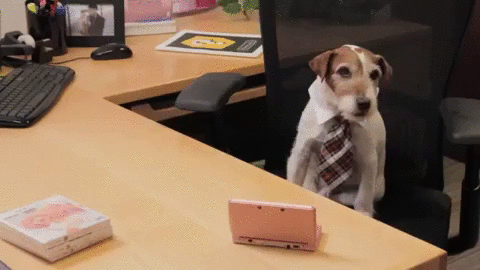 Dog breed, Wood, Dog, Carnivore, Electronic device, Table, Flooring, Hardwood, Technology, Wood stain, 