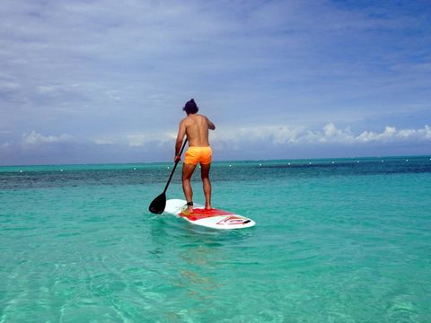 Surfboard, Surfing Equipment, Fun, Surface water sports, Leisure, Tourism, Summer, People in nature, Boardsport, Vacation, 