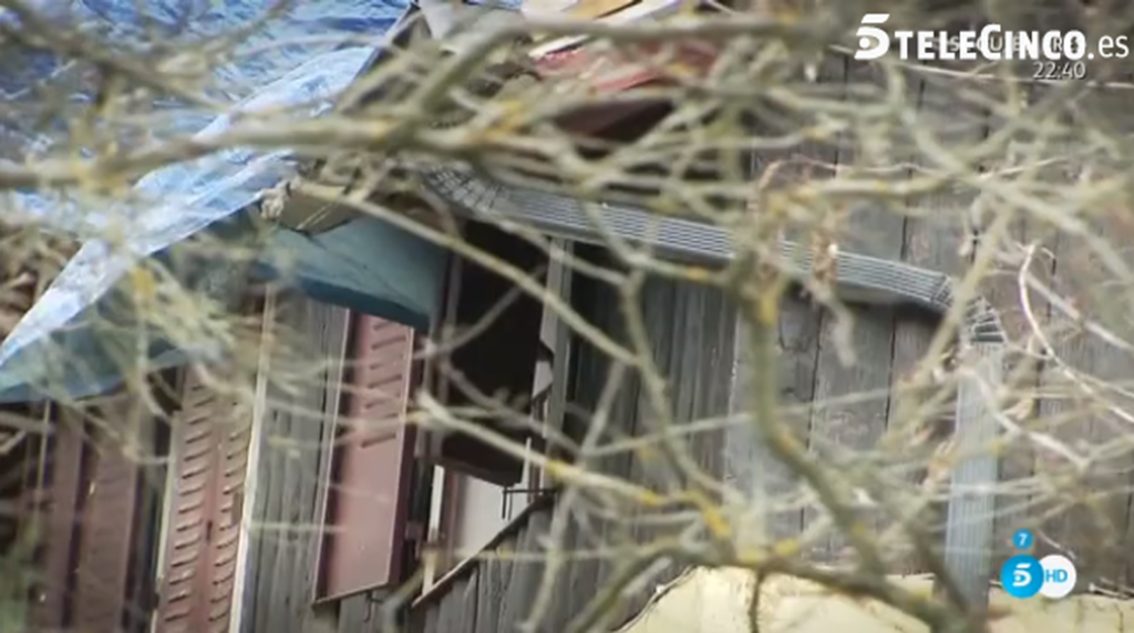Branch, Tree, Twig, Plant, House, Zoo, Architecture, Facade, Scaffolding, Window, 