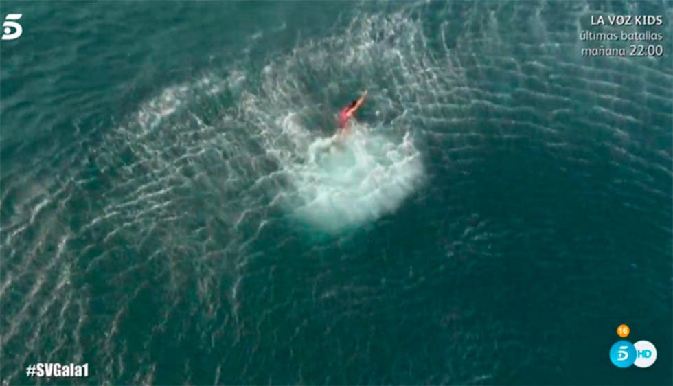 Wave, Water, Lamniformes, Lamnidae, Great white shark, Shark, Ocean, Cartilaginous fish, Wind wave, Surfing Equipment, 
