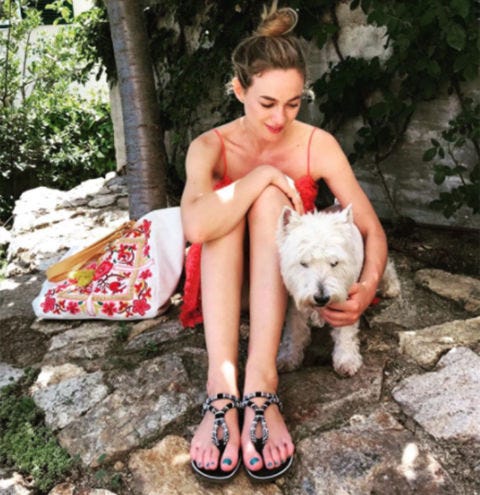 Canidae, Dog, Beauty, Leg, Footwear, Companion dog, Summer, Fur, Shoe, Photo shoot, Canidae, Dog, Beauty, Leg, Footwear, Companion dog, Summer, Fur, Shoe, Photo shoot,