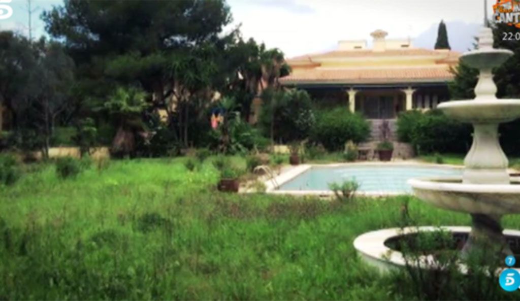Garden, Property, Yard, Backyard, House, Estate, Lawn, Home, Land lot, Real estate, 