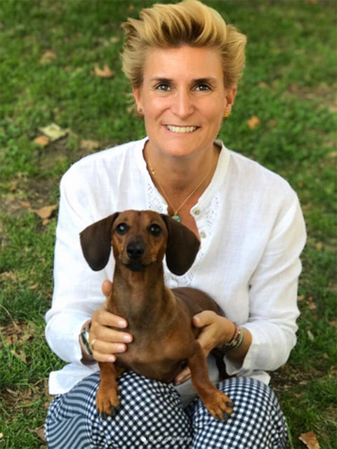 Dog, Mammal, Vertebrate, Canidae, Dog breed, Carnivore, Dachshund, Companion dog, Fawn, Hound, 