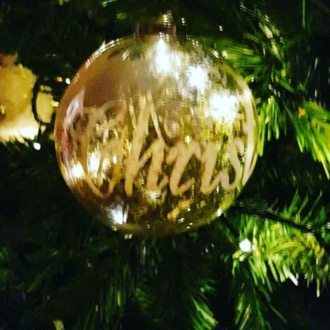 Christmas ornament, Tree, Christmas decoration, Ornament, Sphere, Christmas, Holiday ornament, Plant, Fir, Organism, 