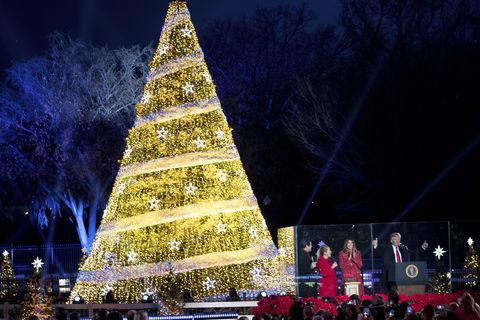 Christmas tree, Tree, Christmas decoration, Landmark, Christmas, Christmas lights, Sky, Christmas eve, Lighting, Tradition, 