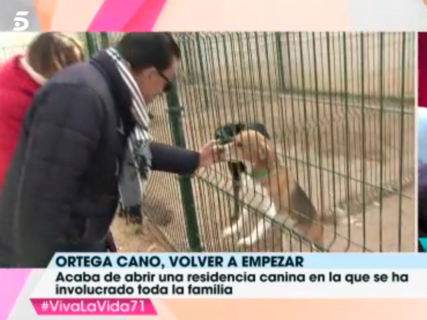 Animal shelter, Net, Zoo, Dog breed, Dog crate, Wildlife, Fence, Carnivore, 