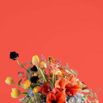 Petal, Bouquet, Flower, Cut flowers, Floristry, Flower Arranging, Still life photography, Flowering plant, Floral design, Botany, 