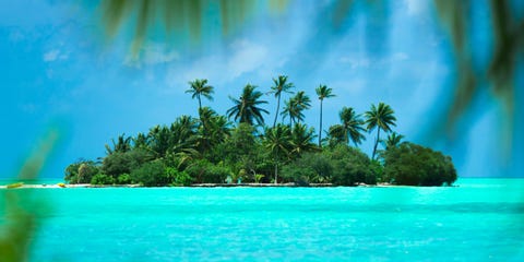 Now's Your Chance To Own The Island Oasis Of Your Dreams
