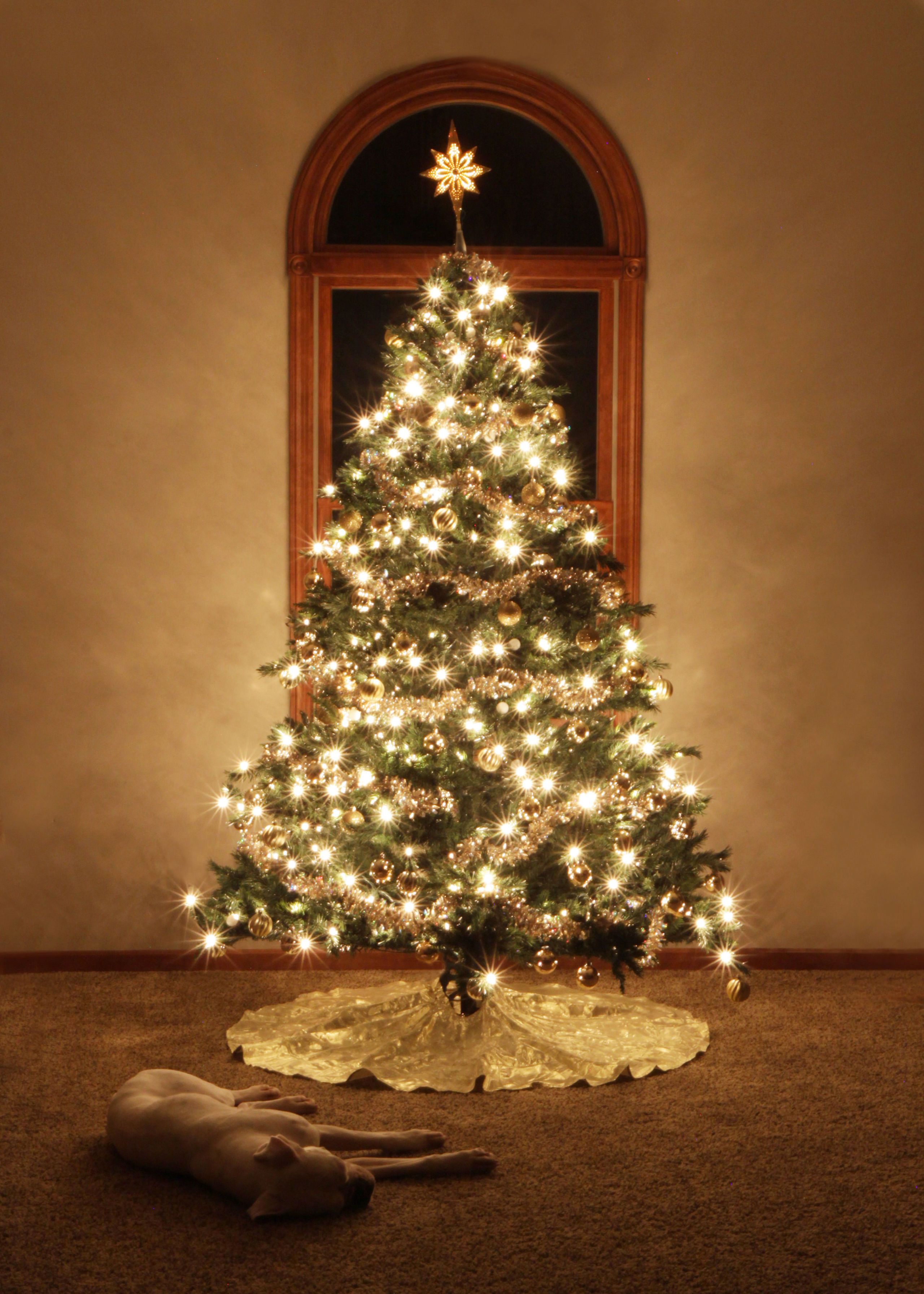 all light christmas tree