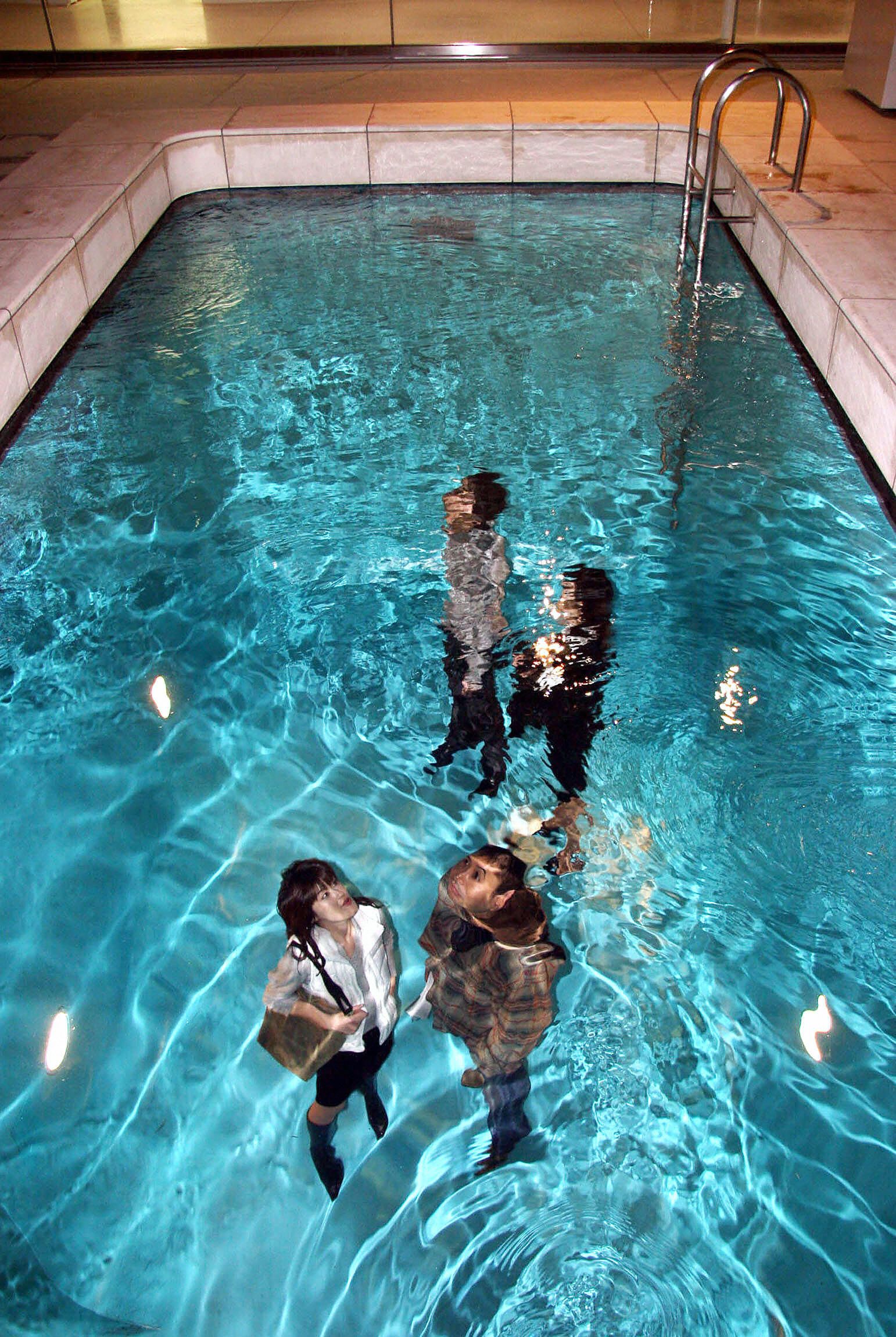 Leandro Erlich Swimming Pool - Optical Illusion Swimming Pool Art