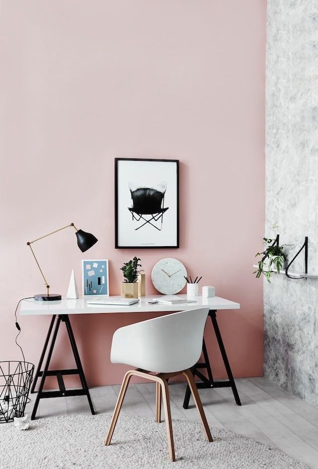 baby pink feature wall