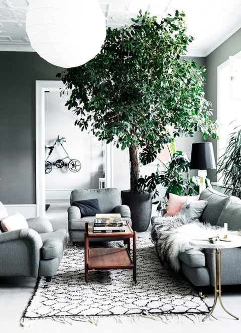 Room, Branch, Interior design, Green, Living room, Home, Furniture, Wall, Floor, White, 