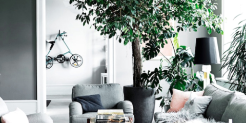 Design Dilemmas You Face When You Have A Roommate