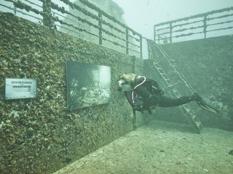 Andreas Franke Underwater Exhibit Sinking World Near Key West