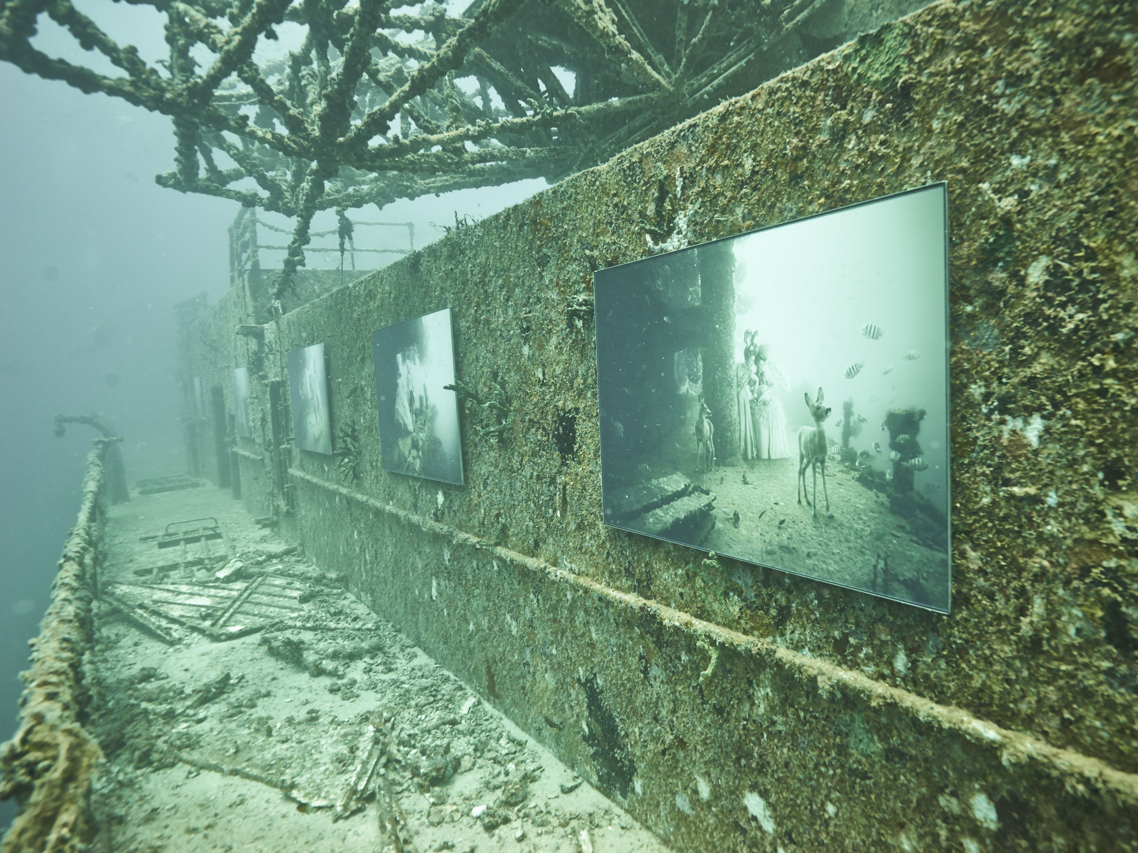 Underwater Art Exhibit - Andrea Franke's Underwater Artwork
