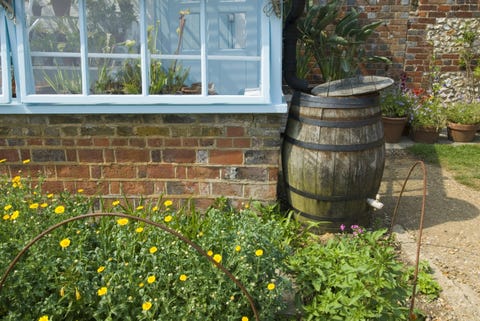 Easy Landscaping Ideas Low Maintenance Landscape Design Tips