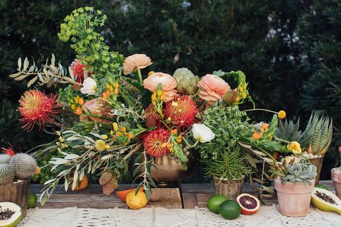 Flowerpot, Produce, Natural foods, Fruit, Houseplant, Soapberry family, Calabaza, Pumpkin, Rambutan, Vegan nutrition, 
