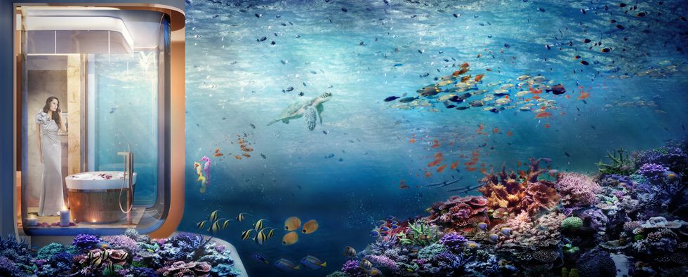Organism, Fluid, Underwater, Aqua, Coral, Art, Coral reef, Fish, Stony coral, Marine biology, 