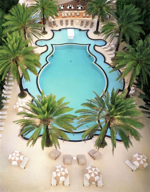 Raleigh Hotel Pool in Miami