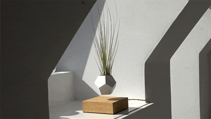 This Decorative Vase Is For Floating Plants - Unique Home Decor