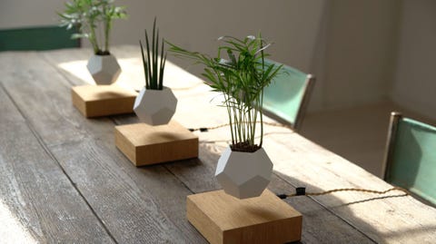Decorative vases for unique home decor Decorative vases for unique home decor