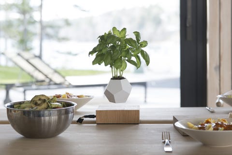 Unique home decor Unique home decor