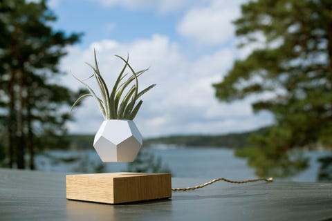 Unique home decor Unique home decor