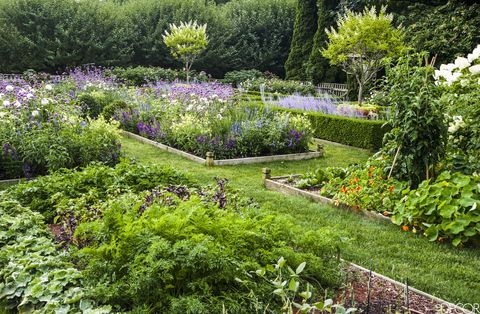 Ina Garten's Famous Garden - Garden Design And Ideas