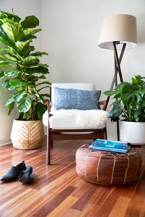 houseplant, floor, living room, room, interior design, wood flooring, furniture, laminate flooring, hardwood, table,