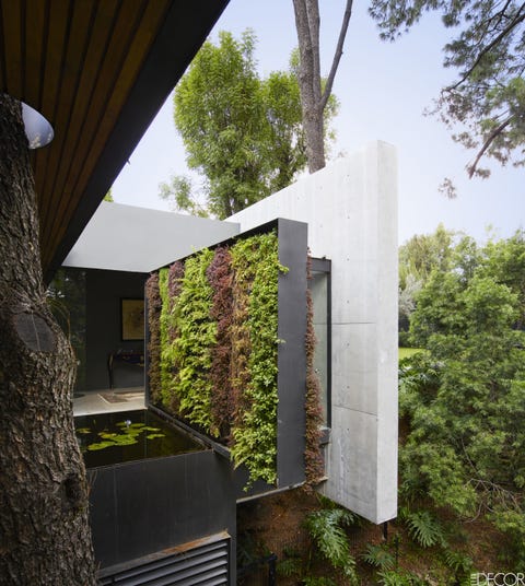 Shrub, Shade, Concrete, Stairs, Daylighting, Shrub, Shade, Concrete, Stairs, Daylighting,