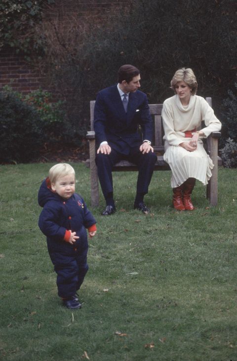 Photos of Diana, Princess of Wales at Home with Prince William, Prince ...